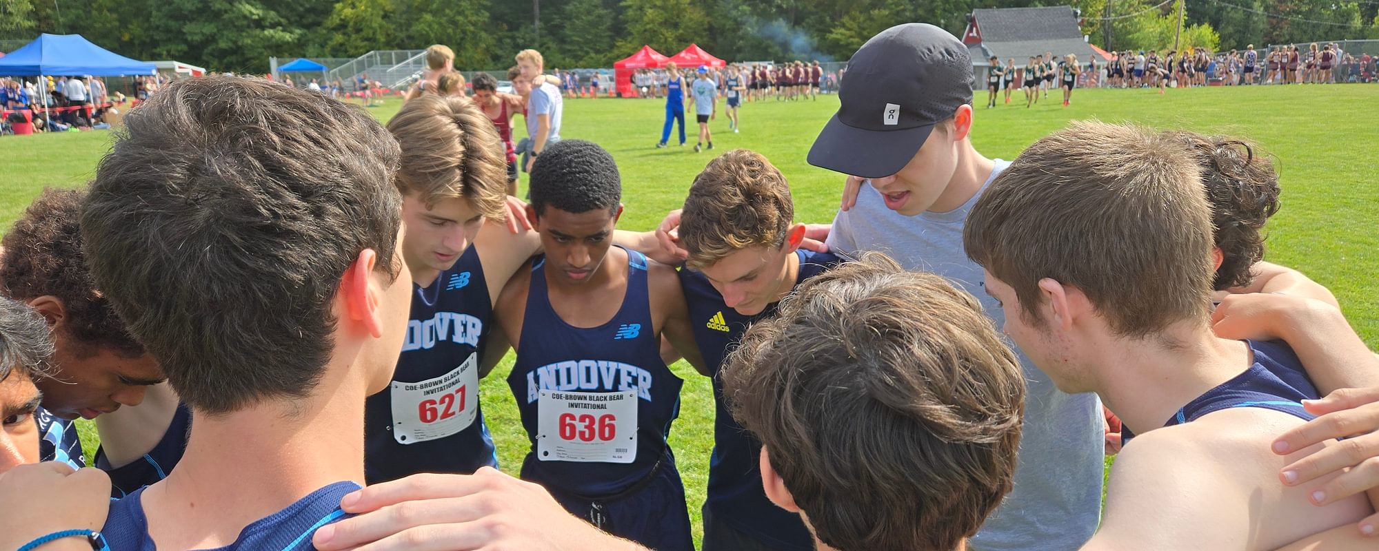 Black Bear V Huddle